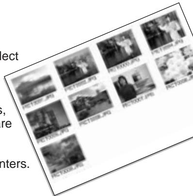 MINOLTA DIMAGE S414 - ORDERING AN INDEX PRINT - 1