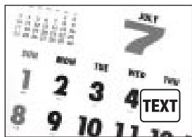 MINOLTA DIMAGE S414 - DIGITAL-SUBJECT-PROGRAM BUTTON - 6