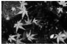 MINOLTA DIMAGE S414 - Shooting tips - 3