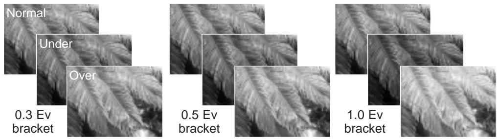 MINOLTA DIMAGE S414 - EXPOSURE BRACKETING INIncrement - 1