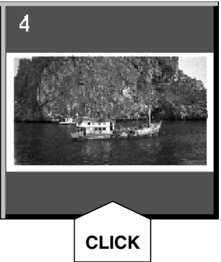MINOLTA DIMAGE SCAN DUAL II AF-282OU - Cliquez sur une image pour la sélectionner pour la numérisation. - 7