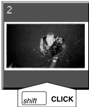 MINOLTA DIMAGE SCAN DUAL II AF-282OU - Cliquez sur une image pour la sélectionner pour la numérisation. - 5