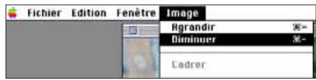 MINOLTA DIMAGE V - Agrandir ou réduire l'affichage - 2