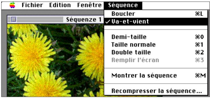 MINOLTA DIMAGE V - MODES de visionnage - 1