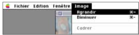 MINOLTA DIMAGE V - Agrandir ou réduire l'affichage - 1