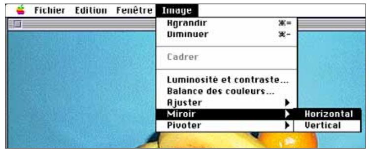MINOLTA DIMAGE V - Retournement d'image - 1