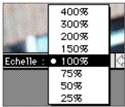 MINOLTA DIMAGE V - Agrandir ou réduire l'affichage - 3