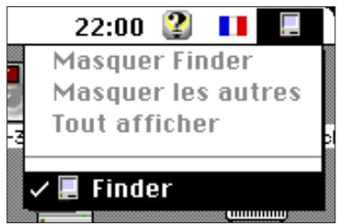 MINOLTA DIMAGE V - Affichage de l'image PLEIN écran - 1