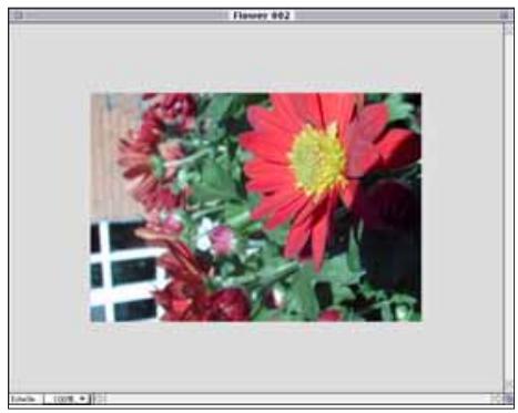 MINOLTA DIMAGE V - Recadrage des IMAGES - 2