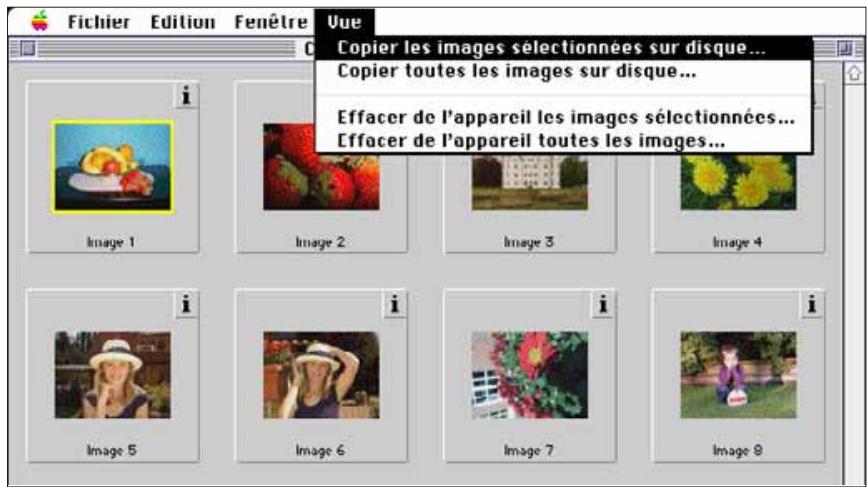 MINOLTA DIMAGE V - COPIE d'images - 1