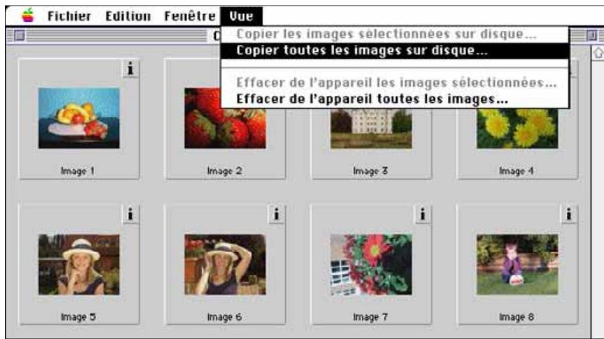 MINOLTA DIMAGE V - COPIE de TOUTES les IMAGES - 1