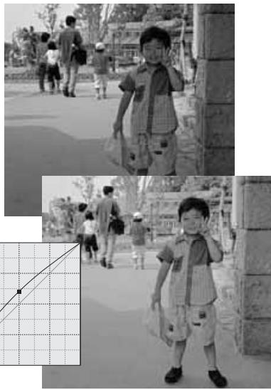 MINOLTA DIMAGE X - Guide de corrections de courbes de transfert - 2