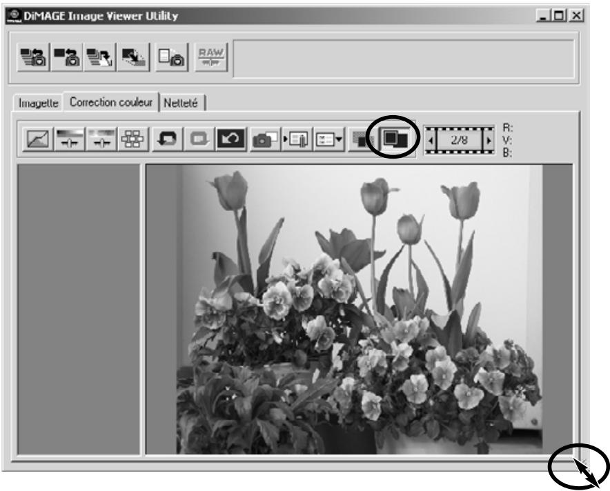 MINOLTA DIMAGE X - Bouton "image entière - 1