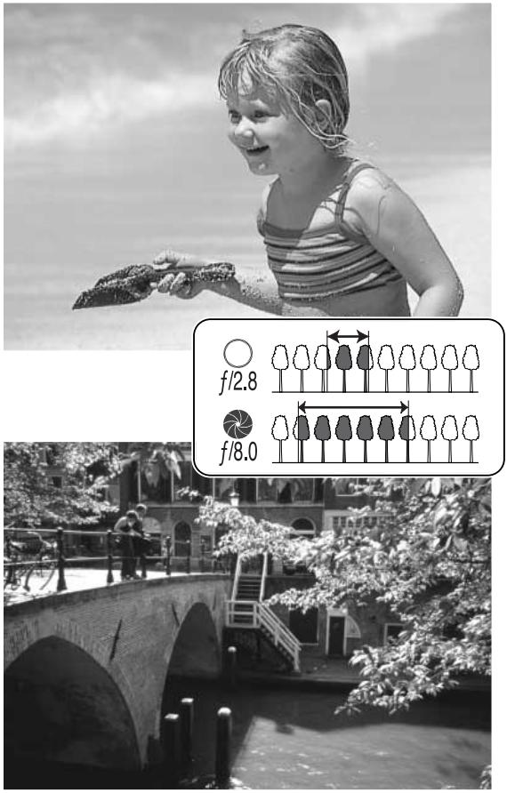 MINOLTA DIMAGE Z10 - A SHORT GUIDE TO PHOTOGRAPHY - 1