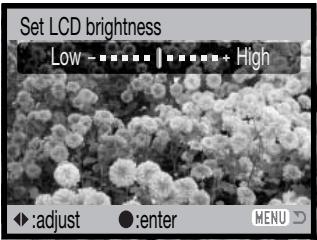 MINOLTA DIMAGE Z10 - LCD MONITOR BRIGHTNESS - 4