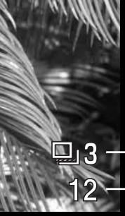 MINOLTA DIMAGE Z10 - BRACKETING - 3