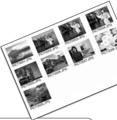 MINOLTA DIMAGE Z10 - INDEX PRINT - 1