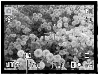 MINOLTA DIMAGE Z10 - CAMERA-SHAKE WARNING - 1