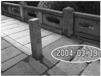 MINOLTA DIMAGE Z10 - DATE IMPRINTING - 2
