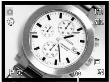MINOLTA DIMAGE Z10 - MACRO - 1