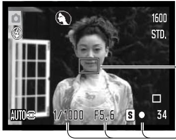 MINOLTA DIMAGE Z10 - FOCUS LOCK - 1