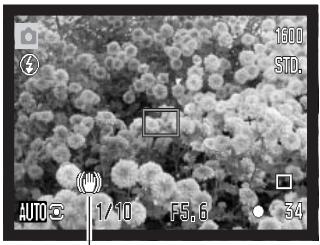 MINOLTA DIMAGE Z2 - Camera-shake warning - 1