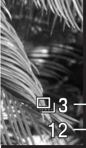 MINOLTA DIMAGE Z2 - Bracketing - 3