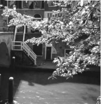 MINOLTA DIMAGE Z2 - A SHORT GUIDE TO PHOTOGRAPHY - 7