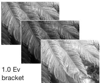 MINOLTA DIMAGE Z2 - Bracketing - 6