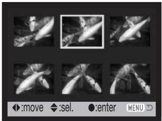 MINOLTA DIMAGE Z2 - Frame-selection screen - 1