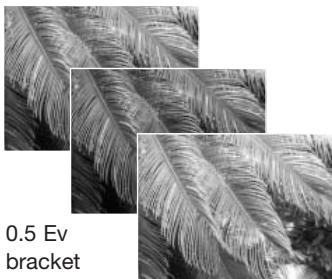 MINOLTA DIMAGE Z2 - Bracketing - 5
