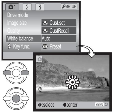 MINOLTA DIMAGE Z2 - Preset White Balance - 1