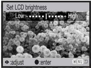 MINOLTA DIMAGE Z2 - LCD monitor brightness - 5