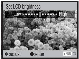 MINOLTA DIMAGE Z2 - Adjusting monitor brightness - 5