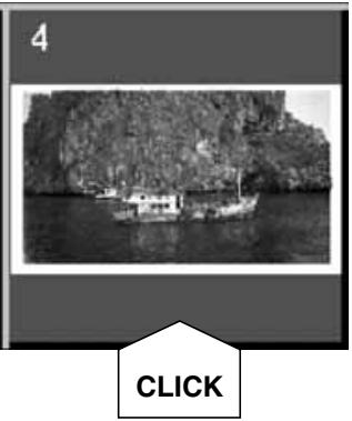 MINOLTA AF-2820U - Click on an image to select it for scanning. - 7