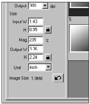 MINOLTA AF-2820U - The dimensions of the cropping frame are displayed in the input size text boxes. - 2