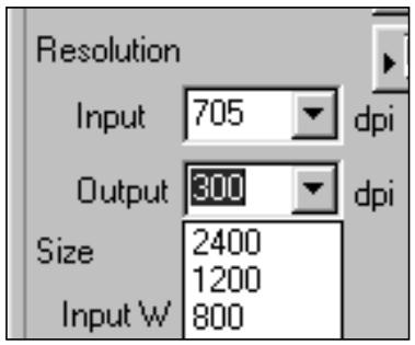 MINOLTA AF-2820U - The dimensions of the cropping frame are displayed in the input size text boxes. - 1