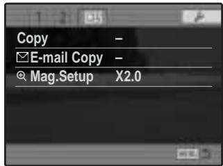 MINOLTA DIMAGE A200 - COPY AND E-MAIL COPY - 2