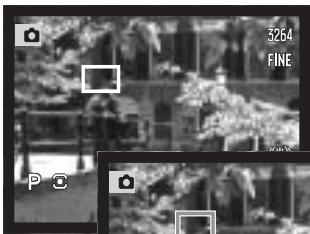 MINOLTA DIMAGE A200 - SPOT AF AREAS - 4