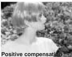 MINOLTA DIMAGE A200 - ABOUT EXPOSURE AND FLASH COMPENSATION - 4