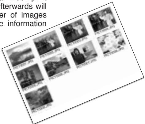MINOLTA DIMAGE A200 - INDEX PRINT - 1