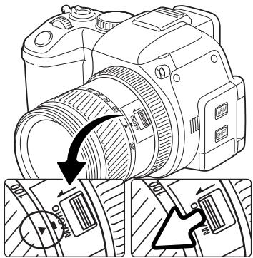 MINOLTA DIMAGE A200 - MACRO MODE - 2