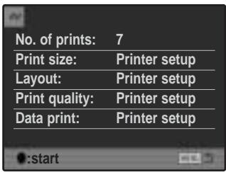 MINOLTA DIMAGE A200 - DPOF print - 2