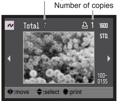 MINOLTA DIMAGE A200 - Total number of prints - 1