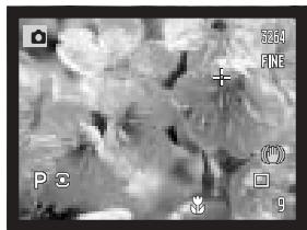 MINOLTA DIMAGE A200 - Shooting tips - 1