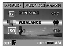 MINOLTA DIMAGE E 500 - Setting White Balance - 1