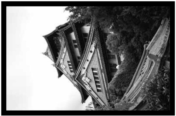 MINOLTA DIMAGE SCAN DUAL II - Rotate - 1