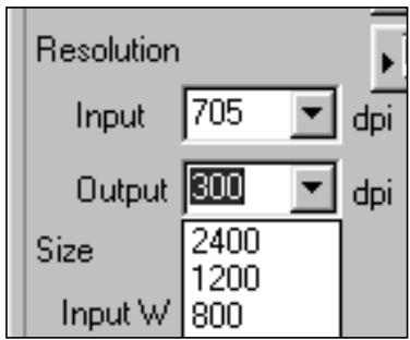MINOLTA DIMAGE SCAN DUAL II - The dimensions of the cropping frame are displayed in the input size text boxes. - 1
