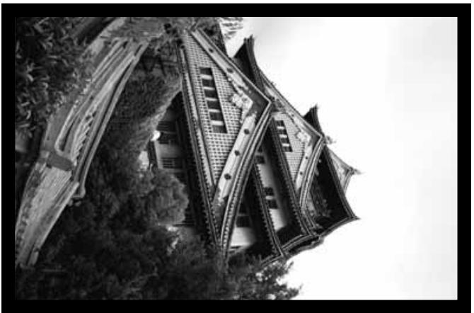MINOLTA DIMAGE SCAN DUAL II - Rotate - 3