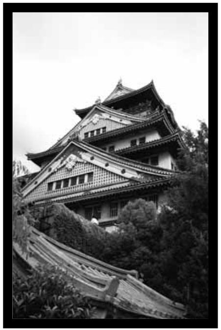 MINOLTA DIMAGE SCAN DUAL II - Rotate - 2